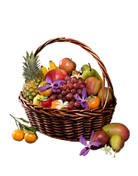 Large Fruit Basket for Denver Delivery